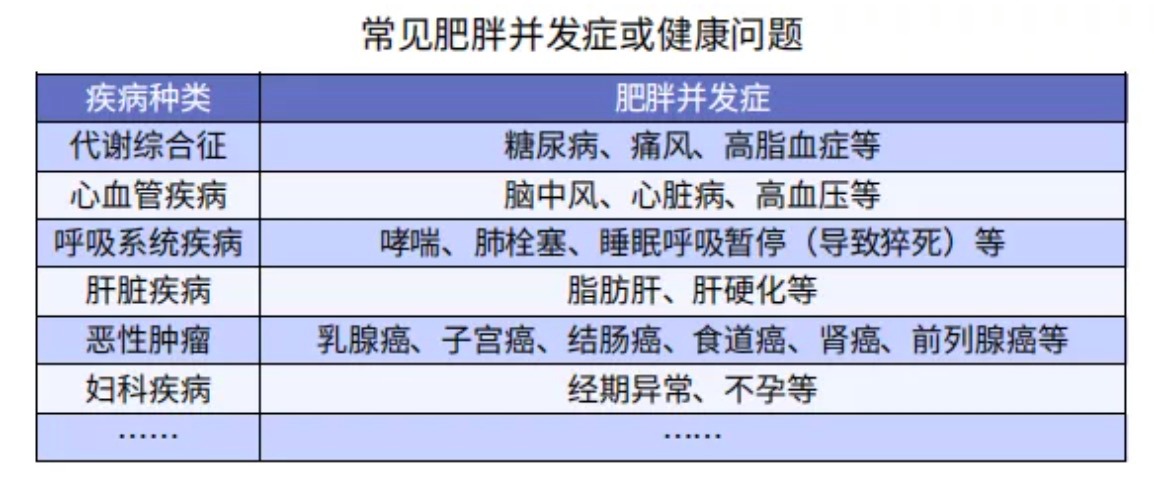 太胖被拒保怎么辦？