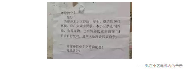 為什么不買(mǎi)保險就不讓養狗？