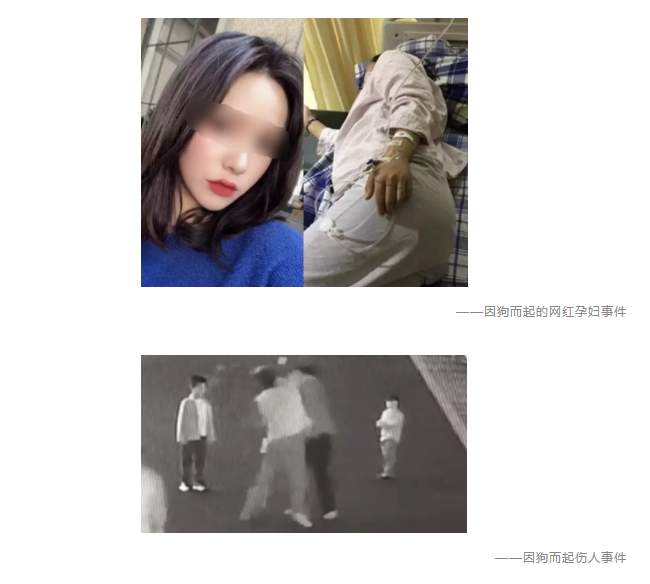 為什么不買(mǎi)保險就不讓養狗？