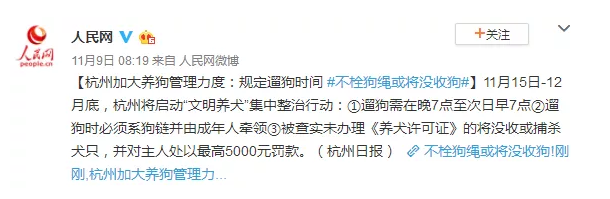 為什么不買(mǎi)保險就不讓養狗？