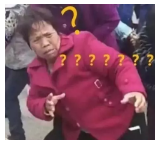 為什么不買(mǎi)保險就不讓養狗？