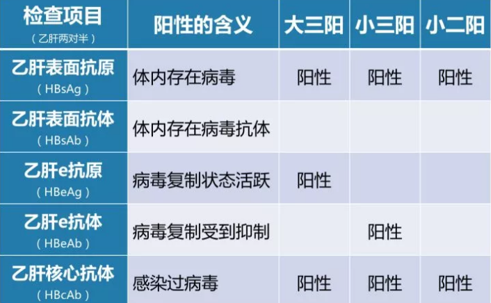 乙肝病毒攜帶者應該如何正確投保？