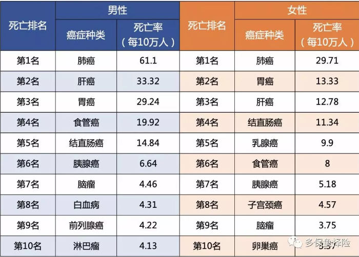 女性高發(fā)重疾怎么選？