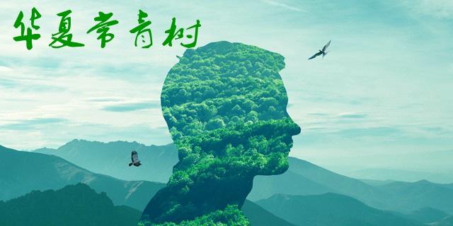 華夏常青樹(shù)多倍版2.0包括哪些??？